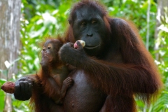P1000729